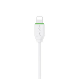 RIXUS Fast Charging Cable USB-C para Lightning RX2017L